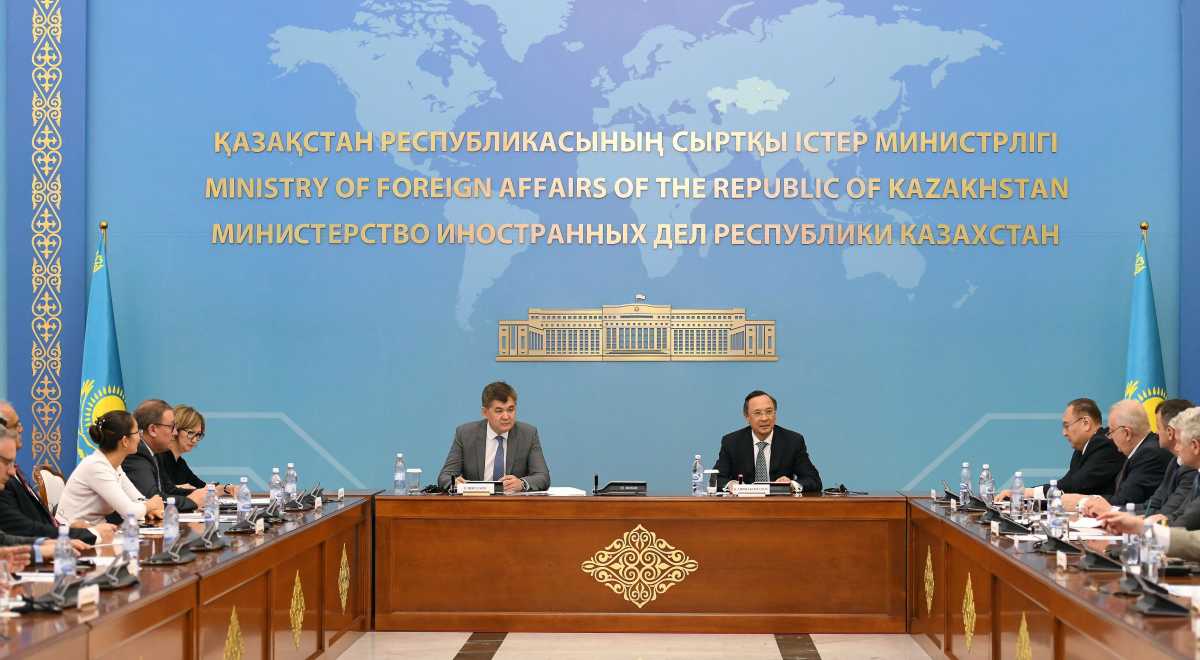 MFA hosted briefing on upcoming WHO anniversary conference