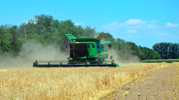 Harvesting campaign: Ministry of Agriculture announces forecasts for the volume of grain crops