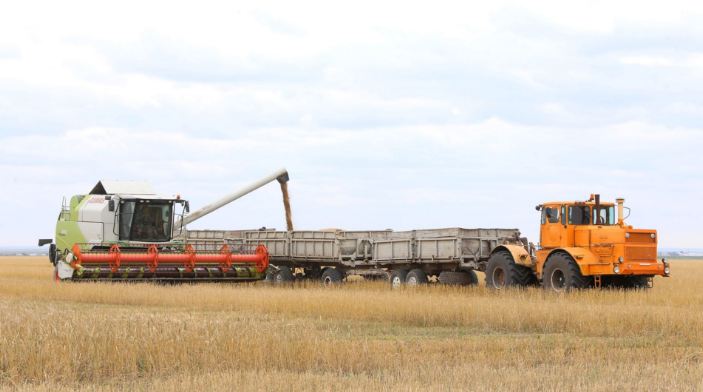 Harvest season: grain crops in Akmola region harvested from an area of ​​20,000 hectares