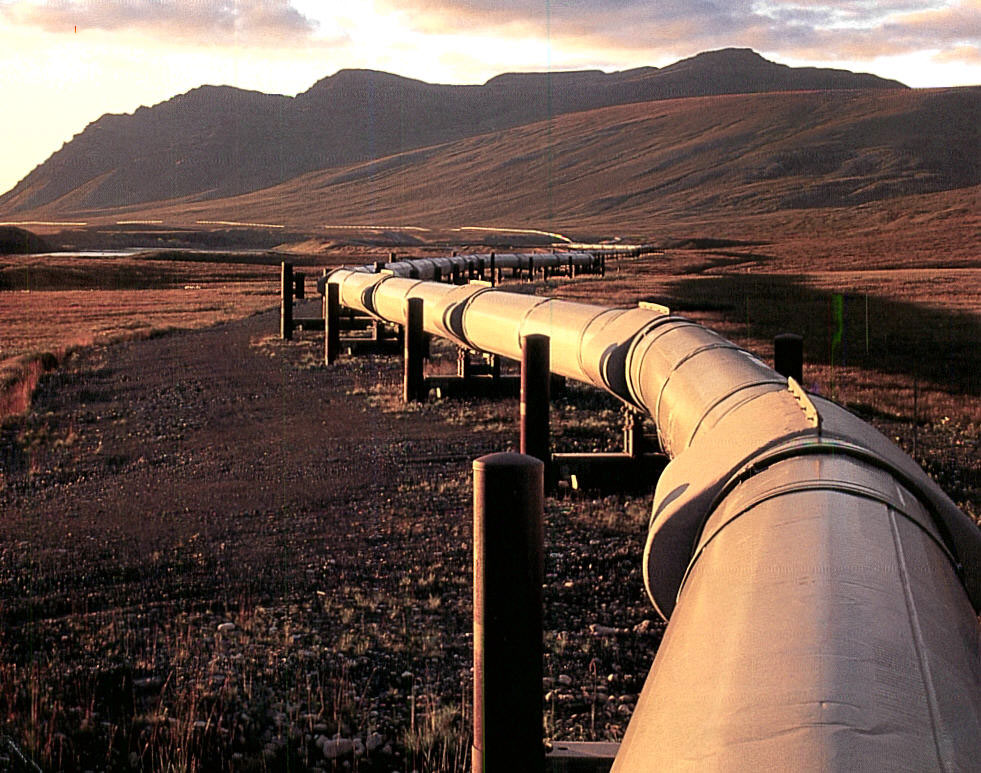 IsDB can take part in Trans-Caspian pipeline project