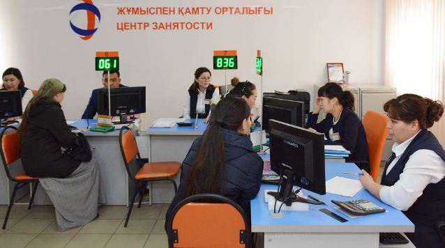 Ministry of Labor and Social Protection of the Population will provide advice on appointment and payments in regions