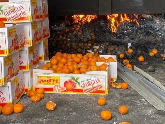 Agriculture inspectors destroy dangerous mandarin in Kazakh capital