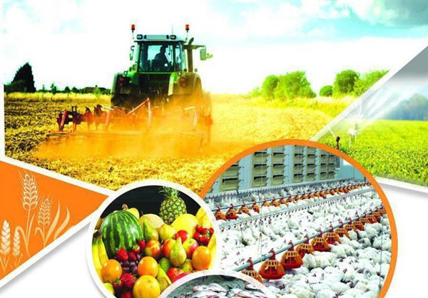 State to purchase 365 thousand tons of agricultural products each year