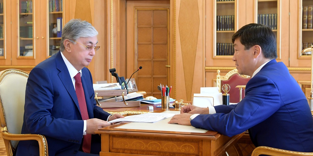 The head of state receives the First Deputy Chairman of the Nur Otan Party Bauyrzhan Baybek