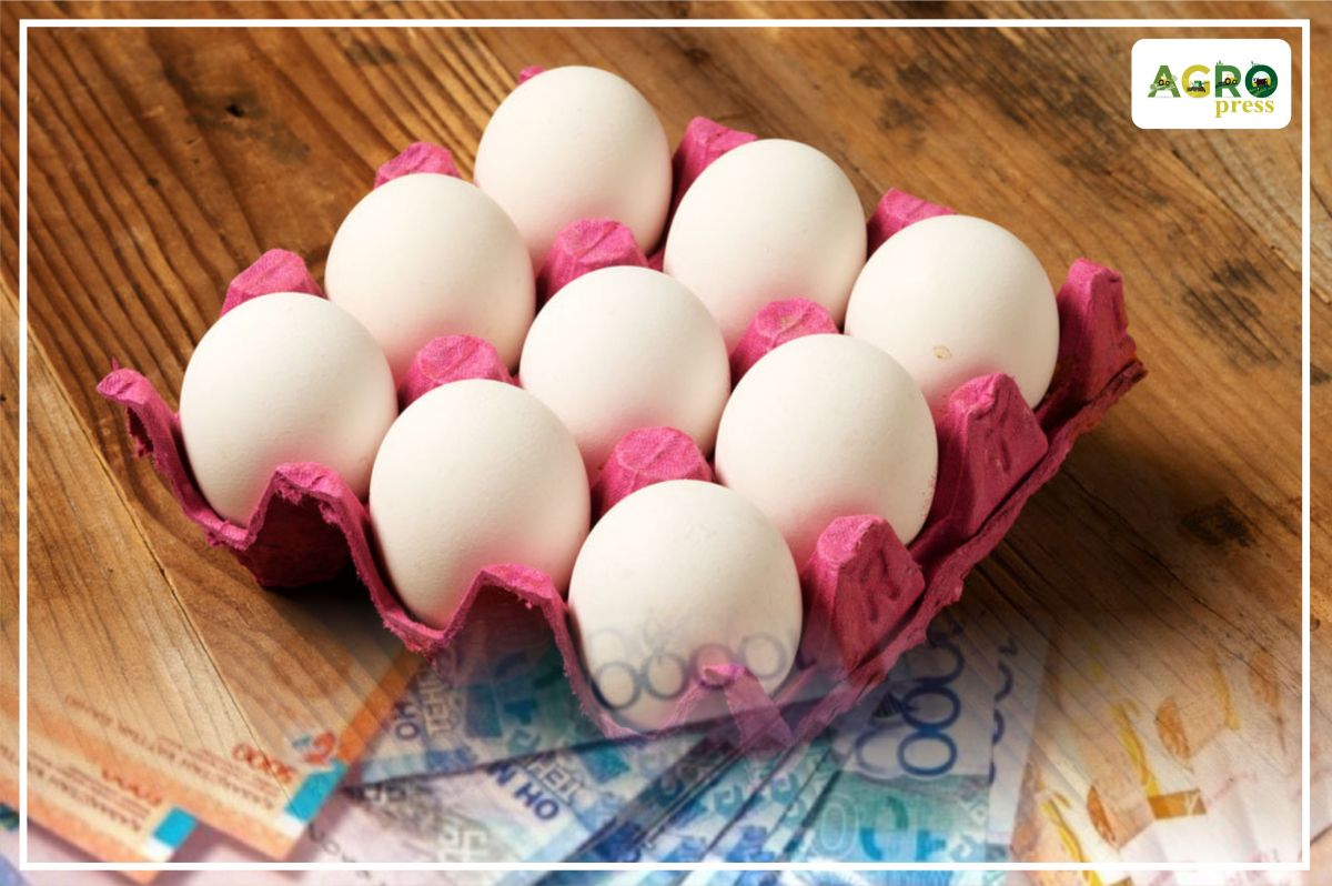 Kazakh Agriculture Ministry on the change of subsidizing rules for egg producers