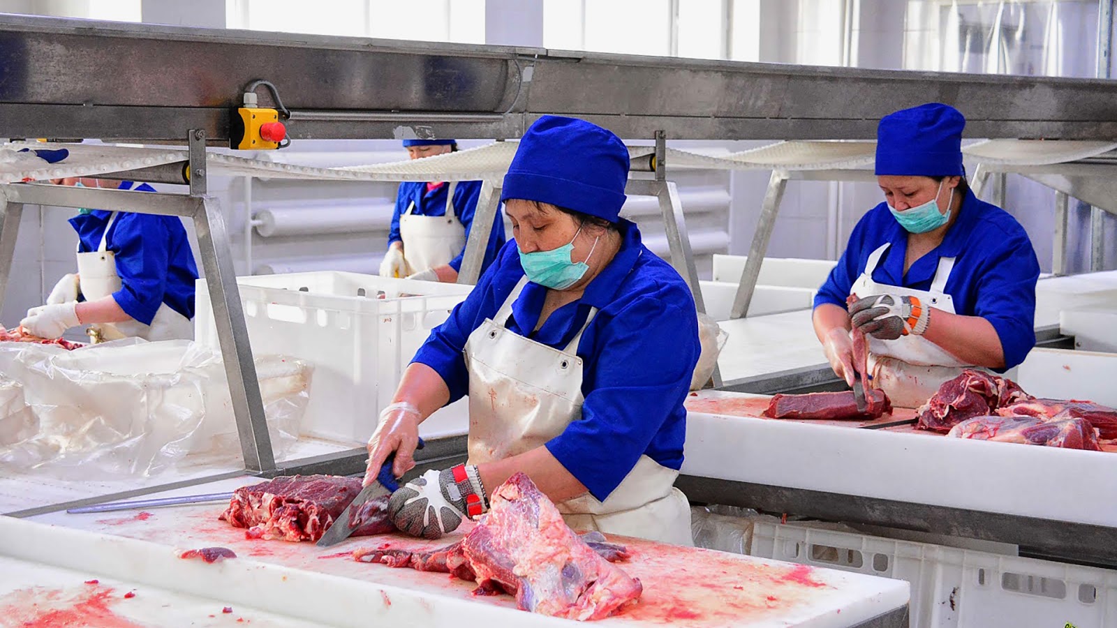 Processing crop and livestock products: Food for 1.6 trillion tenge produced in 2019