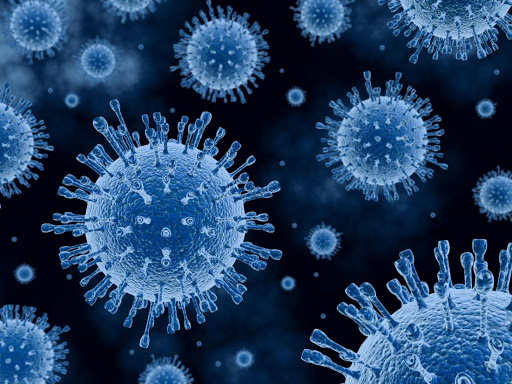 WHO: Coronavirus deaths top 4,000 in 2 months