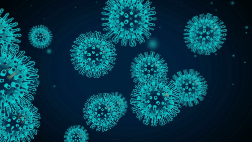Kazakhstan coronavirus cases reach 88