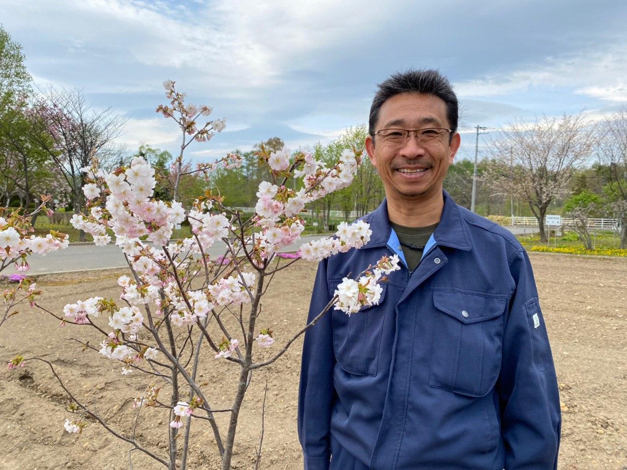 Japan names a new variety of Sakura in honor of Kazakh capital