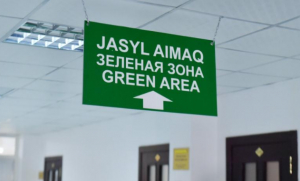 COVID-19: Kazakhstan returns to «green zone»