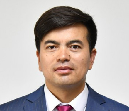 Қалам қиcайса, қасірет