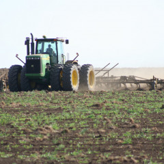 Қостанай облысында 5 млн гектар алқапқа егін егіледі